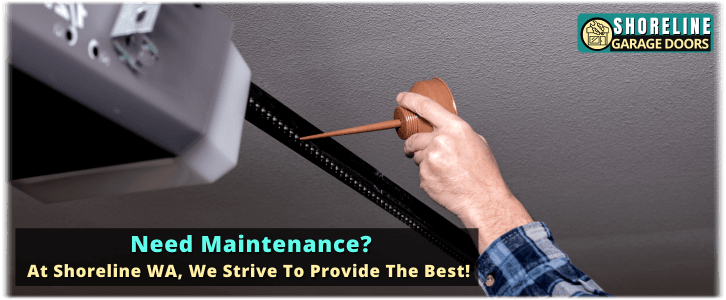 Garage Door Maintenance Shoreline WA